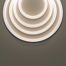 Гибкий неон Maytoni Led Strip 5м 432023 1