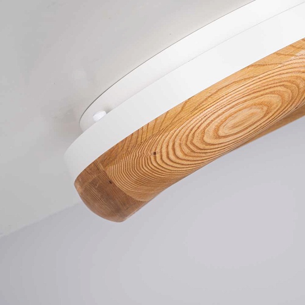 Потолочный светодиодный светильник Imperium Loft Runis 140974-26 Фото № 8