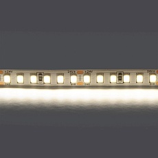 Светодиодная лента Lightstar 16W/m 168LED/m дневной белый 5M 420824 1