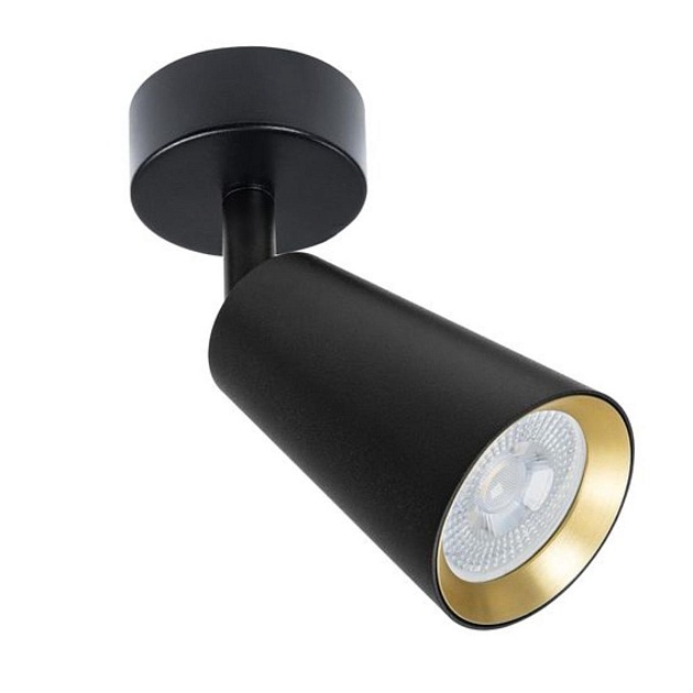 Спот Arte Lamp Cintura A2353PL-1BK изображение 1 Спот Arte Lamp Cintura A2353PL-1BK Фото № 1