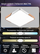 Потолочный светодиодный светильник Natali Kovaltseva LED LAMPS 81411 1