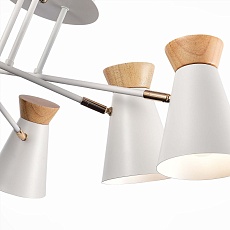 Потолочная люстра Evoluce Alfeo SLE1252-502-06 1