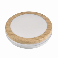 Накладной светильник LEEK LE061100-0064