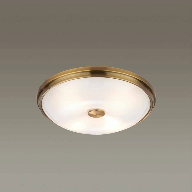 Потолочный светильник Odeon Light Walli Pelow 4956/4 изображение 2 Потолочный светильник Odeon Light Walli Pelow 4956/4 Фото № 2