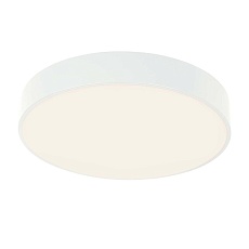 Потолочный светодиодный светильник F-Promo Arena 4683-4C