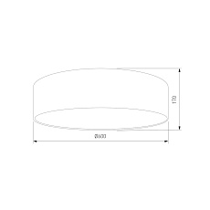 Потолочный светильник TK Lighting 4660 Earth 1